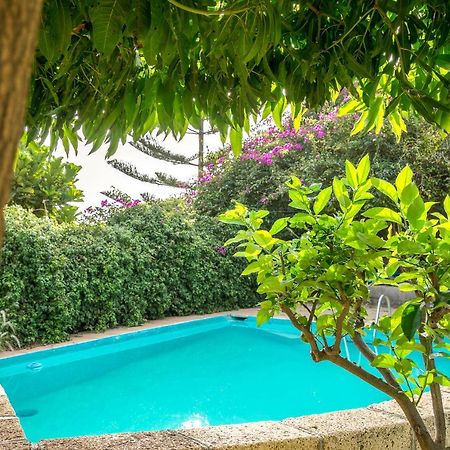 Casitas En El Paraiso كانديلاريا المظهر الخارجي الصورة