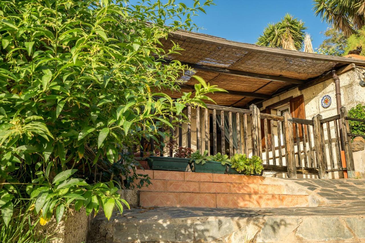 Casitas En El Paraiso كانديلاريا المظهر الخارجي الصورة